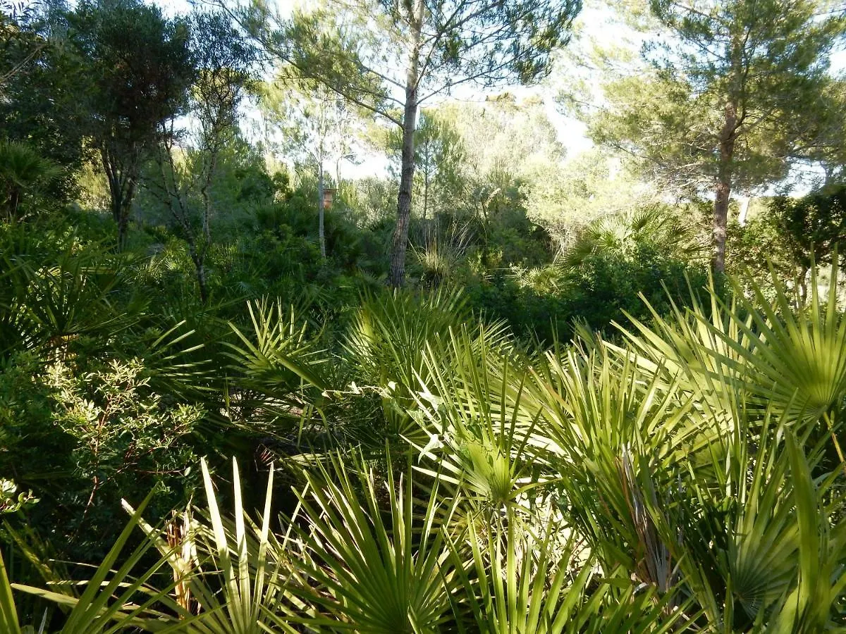 Finca En Sueno De Son Jaumell Villa Cala Ratjada   Cala Ratjada (Mallorca)