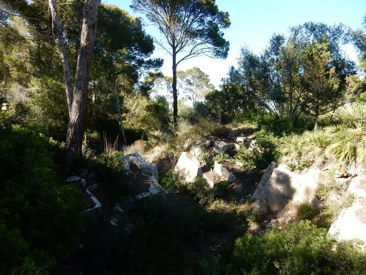 Finca En Sueno De Son Jaumell Villa Cala Ratjada  Spanien